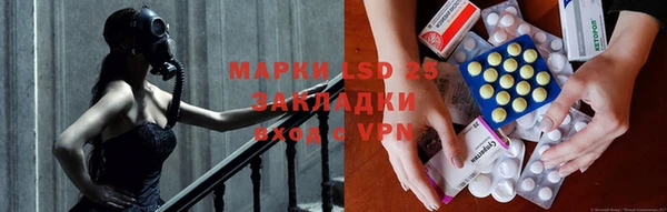 ПСИЛОЦИБИНОВЫЕ ГРИБЫ Краснослободск