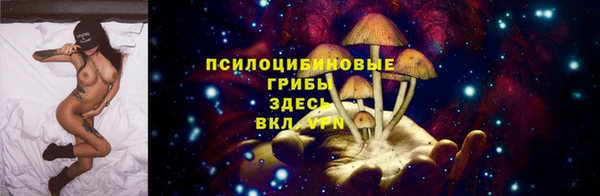 ПСИЛОЦИБИНОВЫЕ ГРИБЫ Краснослободск