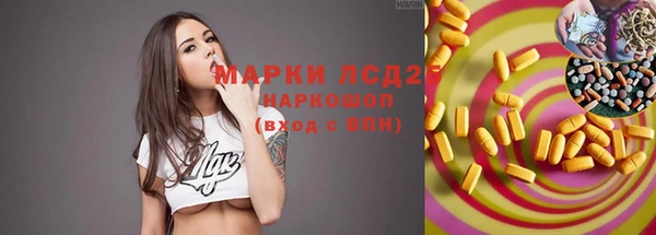 ПСИЛОЦИБИНОВЫЕ ГРИБЫ Краснослободск