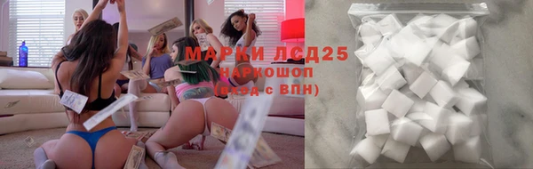 ПСИЛОЦИБИНОВЫЕ ГРИБЫ Краснослободск