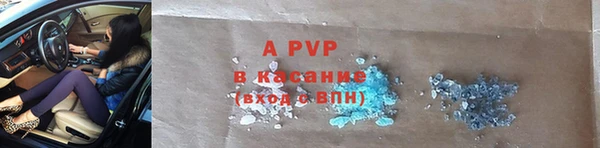 ПСИЛОЦИБИНОВЫЕ ГРИБЫ Краснослободск
