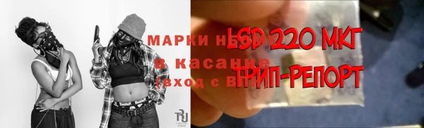 ПСИЛОЦИБИНОВЫЕ ГРИБЫ Краснослободск