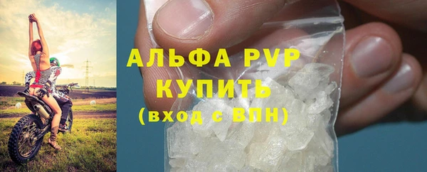 ПСИЛОЦИБИНОВЫЕ ГРИБЫ Краснослободск
