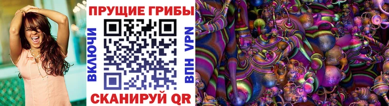 Купить закладки  Заволжск  Галлюциногенные грибы Cubensis 